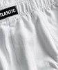 Набор мужских трусов-слипов ATLANTIC Basic (3шт) (Белый) фото превью 4