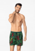Мужские пляжные шорты MARC AND ANDRE Printed Shorts (Зеленый) фото превью 3