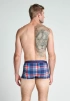 Мужские трусы-боксеры JOCKEY Summer Plaid (Синий) фото превью 2