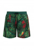 Мужские пляжные шорты MARC AND ANDRE Printed Shorts (Зеленый) фото превью 4