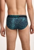 Набор мужских трусов-слипов JOCKEY Cotton Stretch Comfort (3шт) (Зеленый) фото превью 3