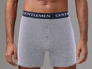 Мужские трусы-боксеры GENTLEMEN GB7820 (Синяя_полоска)