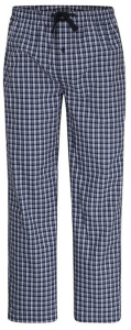 Домашние мужские брюки GOTZBURG (Синий набивной)