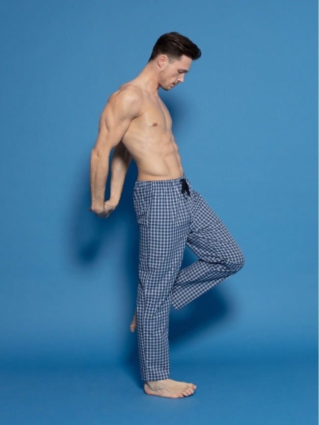 Домашние мужские брюки GOTZBURG (Синий набивной) фото 2